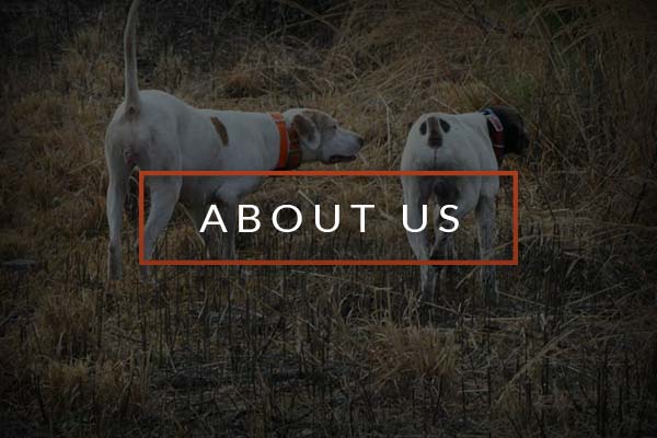 About Us About McCranie Plantation