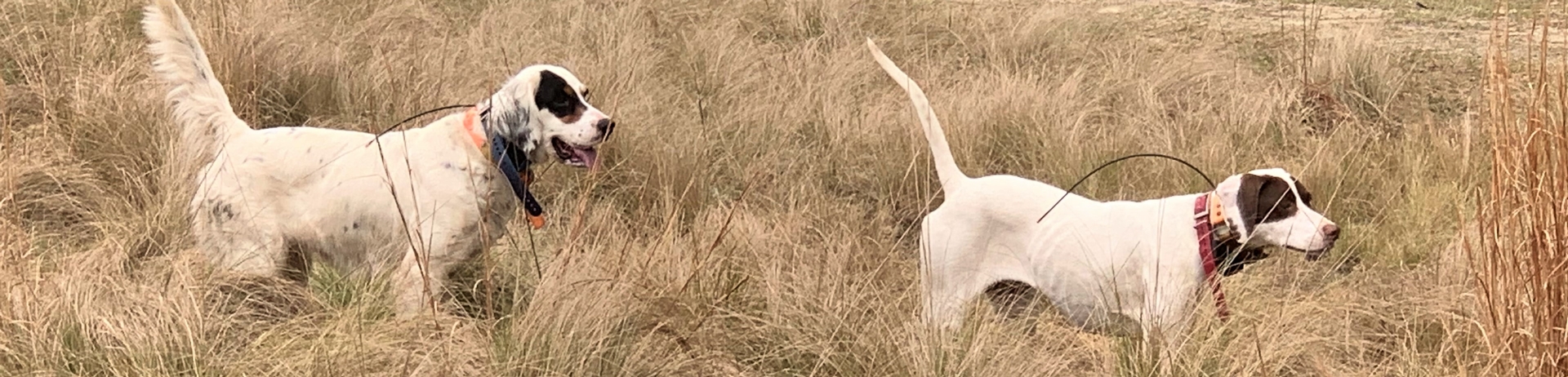 About McCranie Plantation About McCranie Plantation