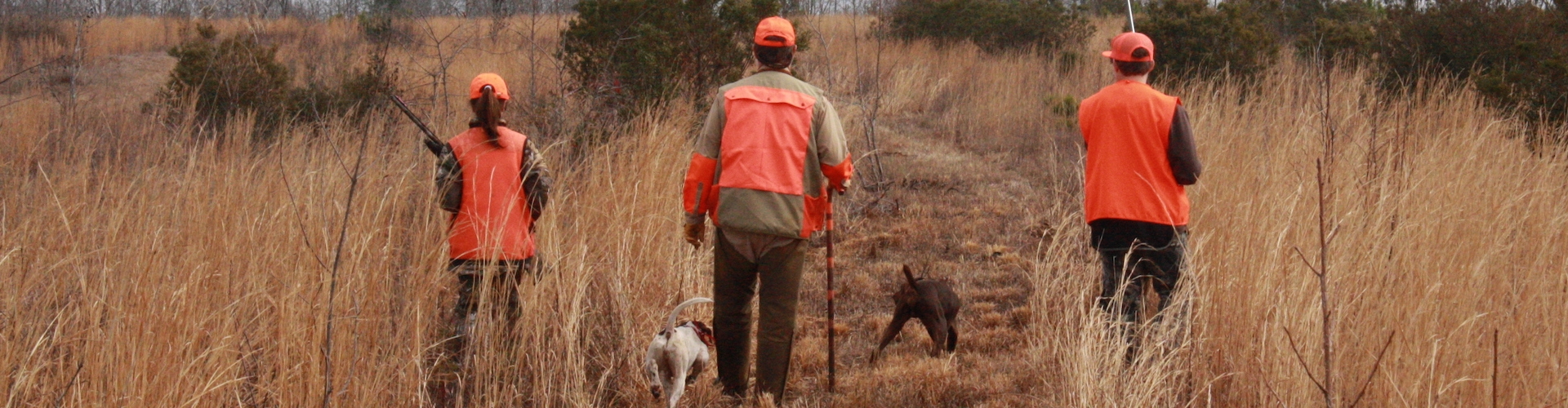 Contact McCranie Plantation Contact McCranie Plantation