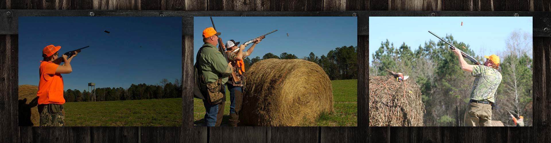 Pheasant Shoots Pheasant Shoots