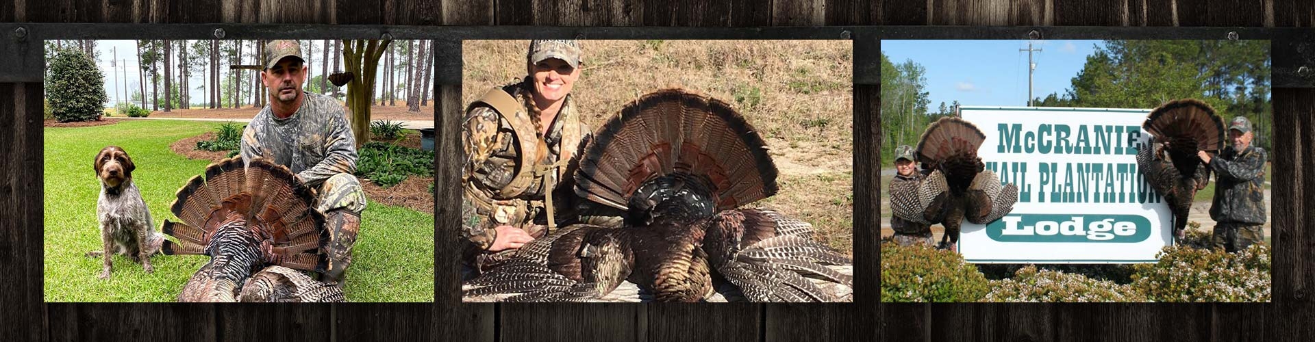 Georgia Turkey Hunts Georgia Turkey Hunts