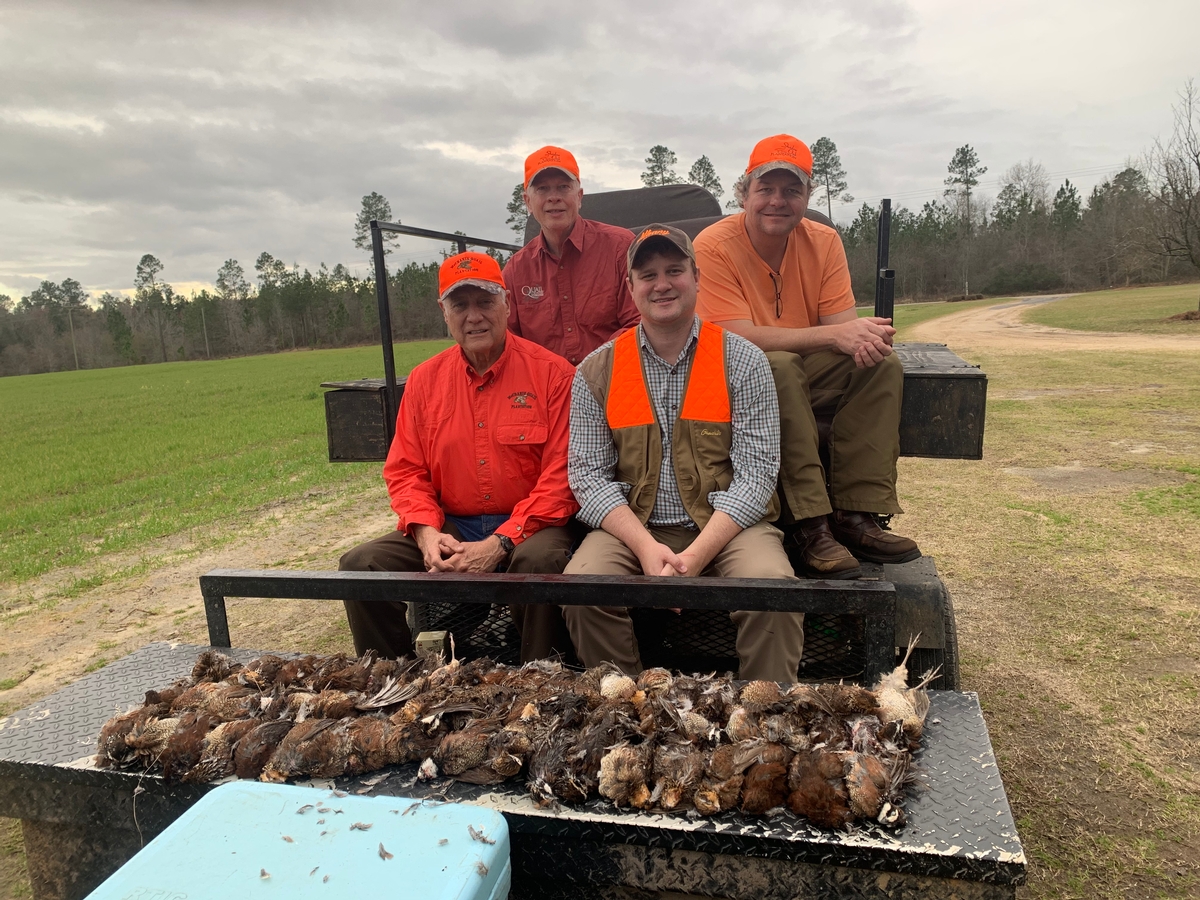 Quail Hunting Quail Hunting