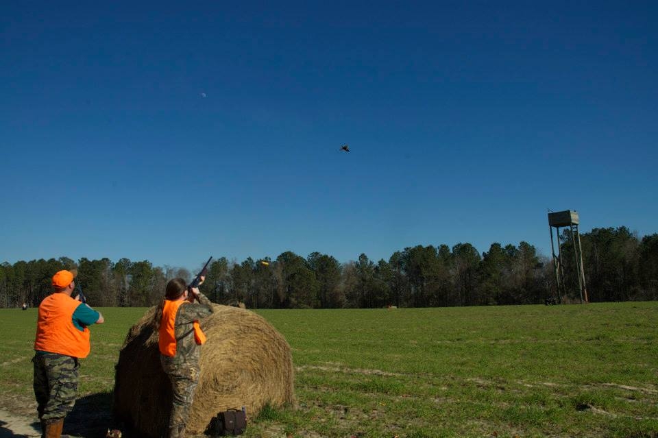 Quail Hunting Quail Hunting